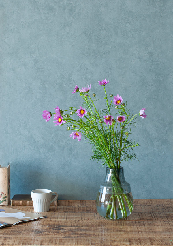 季節の花 50cm「コスモス おまかせ10本」