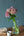 季節の花 50～60cm「ボンベイケイトウ アンティークピンク」6本