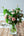 【週末限定】期間限定 いい夫婦の日 おしゃれなブーケ  Mサイズ「rose」【バラの花束】