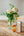 期間限定 いい夫婦の日 花束と香水のセット「FEEESIA IN AUTUMN ＆ rose bouquet ＜taupe＞」【バラの花束】