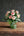 期間限定 いい夫婦の日 保科バラ園のバラを使った おしゃれな花束「avenir」
