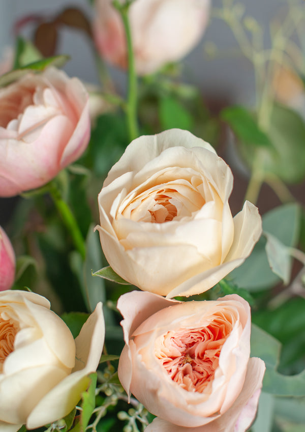 いつもあいしてる｜いい夫婦の日のwabaraの花束 L - &YOUKAEN (アンドユーカエン)