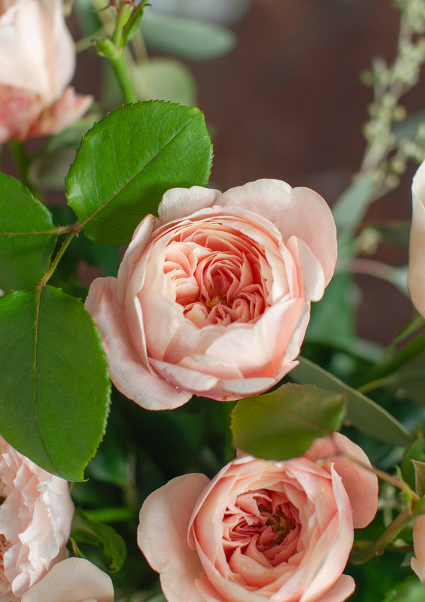 いつもあいしてる｜いい夫婦の日のwabaraの花束 L - &YOUKAEN (アンドユーカエン)