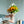 【お中元】ひまわりの花束と花瓶セット「Summer Summer」サマーギフト2023 【おしゃれな夏の花束】