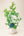 【2026年父の日の鉢植え】花言葉は、思いやり『ブルーベリー』 - &YOUKAEN (アンドユーカエン)
