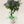 【2026年父の日の鉢植え】爽やかなブルーの花色『デュランタ 宝塚』 - &YOUKAEN (アンドユーカエン)