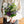 【2025年父の日の花束】季節の花束「アメジストグリーン」M ＜パープル＆グリーン＞ - &YOUKAEN (アンドユーカエン)