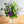 【2025年父の日の花束】季節の花束「アメジストグリーン」M ＜パープル＆グリーン＞ - &YOUKAEN (アンドユーカエン)
