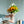 【2024年父の日の花】ひまわりの花束と花瓶セット「Summer Summer」