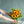 【2024年父の日の花】ひまわりの花束と花瓶セット「Summer Summer」