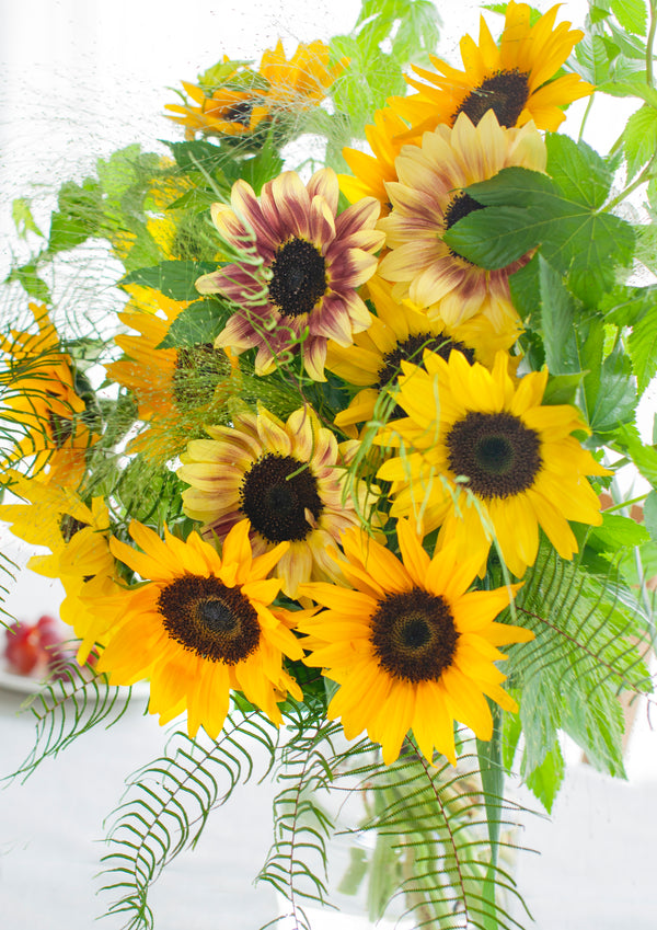 【2024年父の日の花】父の日 Special 花束・ブーケ 「Helianthus glad」