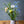 厳選した春の花束 自然の美しさをそのままに+花瓶付き | FlowerDiary - &YOUKAEN (アンドユーカエン)