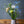 厳選した春の花束 自然の美しさをそのままに+花瓶付き | FlowerDiary - &YOUKAEN (アンドユーカエン)