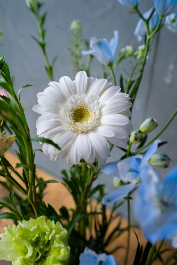 厳選した春の花束 自然の美しさをそのままに+花瓶付き | FlowerDiary - &YOUKAEN (アンドユーカエン)