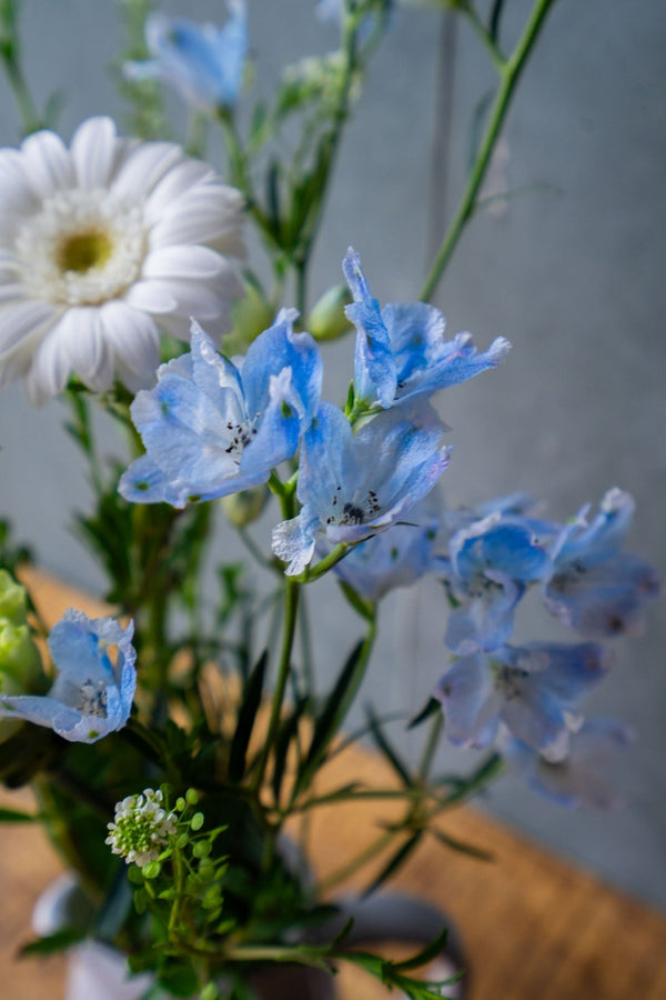 厳選した春の花束 自然の美しさをそのままに+花瓶付き | FlowerDiary - &YOUKAEN (アンドユーカエン)