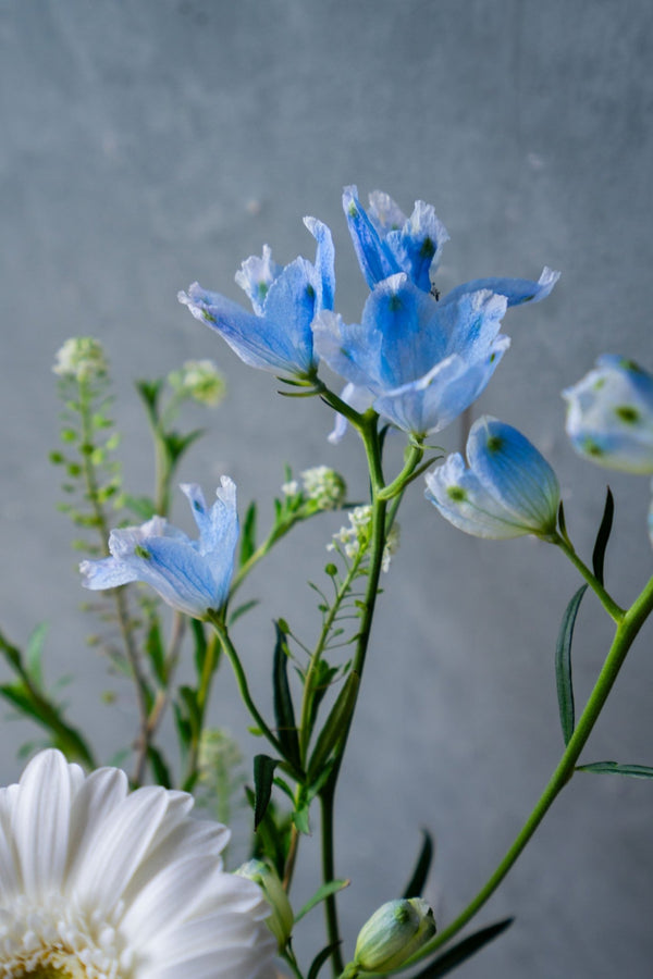 厳選した春の花束 自然の美しさをそのままに+花瓶付き | FlowerDiary - &YOUKAEN (アンドユーカエン)