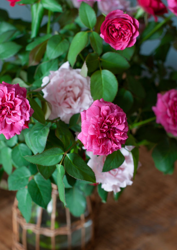 保科バラ園の香り豊かな「Rose Bouquet」【期間限定 オータムギフト】