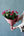 2023年敬老の日ギフト　保科バラ園の香り豊かな「Rose Bouquet」【期間限定 敬老の日ギフト】