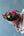 2023年敬老の日ギフト　保科バラ園の香り豊かな「Rose Bouquet」【期間限定 敬老の日ギフト】