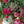 2023年敬老の日ギフト　保科バラ園のバラを使った 秋色の「Autumn Bouquet」L【期間限定 敬老の日ギフト】