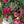 保科バラ園のバラを使った 秋色の「Autumn Bouquet」L【期間限定オータムギフト】