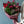 2023年敬老の日ギフト　保科バラ園のバラを使った 秋色の「Autumn Bouquet」L【期間限定 敬老の日ギフト】