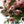 記念日の花束 四季の花を贈る -Romantic-
