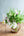 【期間限定】1月を届ける季節の花束「bright spring」