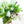 【期間限定】1月を届ける季節の花束「bright spring」