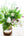 【期間限定】1月を届ける季節の花束「bright spring」