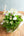 【期間限定】1月を届ける季節の花束「bright spring」置き