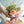 【期間限定】2月を届ける季節の花束「fadge&twig」