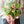 【期間限定】4月を届ける季節の花束「early summer garden」 - &YOUKAEN (アンドユーカエン)