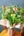 【期間限定】4月を届ける季節の花束「early summer garden」 - &YOUKAEN (アンドユーカエン)