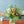 【期間限定】4月を届ける季節の花束「early summer garden」 - &YOUKAEN (アンドユーカエン)