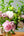 【期間限定】5月を届ける！香り華やぐ季節の花束「芍薬とライラック - fleur parfumée - 」 - &YOUKAEN (アンドユーカエン)