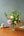 【期間限定】5月を届ける！香り華やぐ季節の花束「芍薬とライラック - fleur parfumée - 」 - &YOUKAEN (アンドユーカエン)