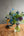 【期間限定】6月を届ける！季節の色を楽しむ花束「雨と紫陽花 - blue hydrangea - 」 - &YOUKAEN (アンドユーカエン)