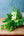 【期間限定】7月を届ける！夏のグリーンを楽しむ花束「Rainforest - 熱帯のグリーン - 」 - &YOUKAEN (アンドユーカエン)