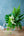 【期間限定】7月を届ける！夏のグリーンを楽しむ花束「Rainforest - 熱帯のグリーン - 」 - &YOUKAEN (アンドユーカエン)