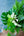 【期間限定】7月を届ける！夏のグリーンを楽しむ花束「Rainforest - 熱帯のグリーン - 」 - &YOUKAEN (アンドユーカエン)