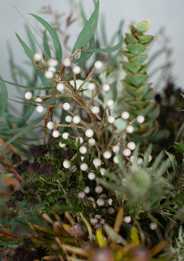 【期間限定】11月を届ける！暮れの秋の花束「wilderness」