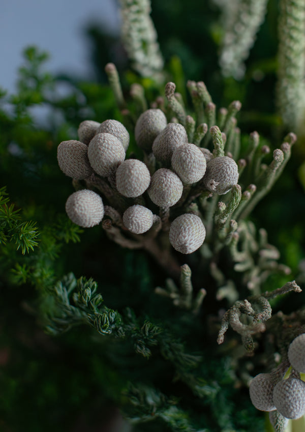 【期間限定】12月を届ける！冬の始まりの花束「first snow」