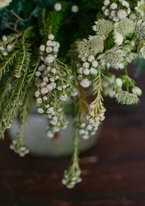 【期間限定】12月を届ける！冬の始まりの花束「first snow」