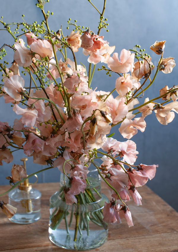 【期間限定】1月をお届け！春の足音が聞こえる花束「springish」