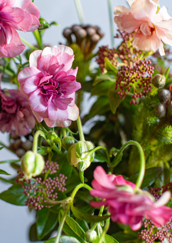 【期間限定】2月をお届け！春の気配を運ぶラナンキュラスの花束「petal joy」 - &YOUKAEN (アンドユーカエン)