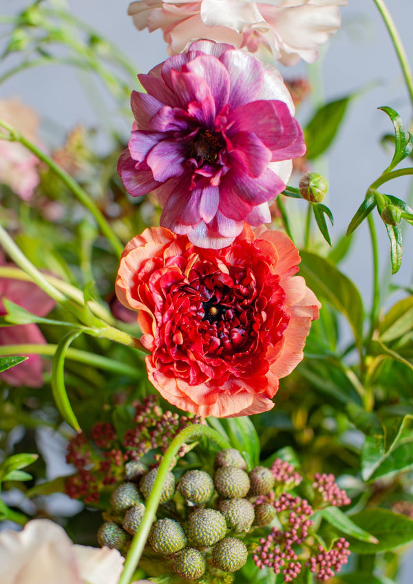 【期間限定】2月をお届け！春の気配を運ぶラナンキュラスの花束「petal joy」 - &YOUKAEN (アンドユーカエン)