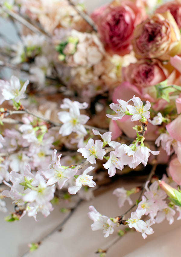 【期間限定】3月をお届け！春の門出を祝うさくら色の花束「spring mood」