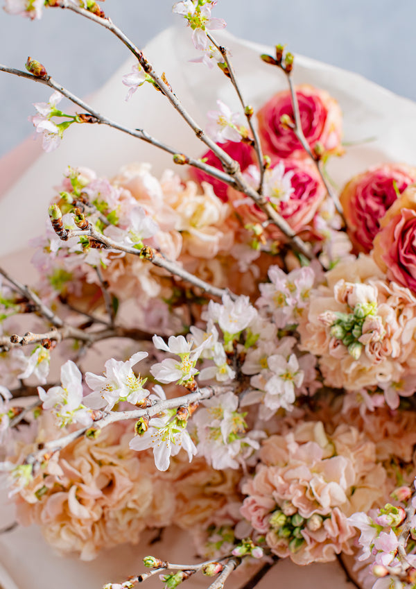 【期間限定】3月をお届け！春の門出を祝うさくら色の花束「spring mood」