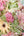 【期間限定】4月をお届け！新しいスタートを彩るガーベラの花束「gerbera sorbet」 - &YOUKAEN (アンドユーカエン)